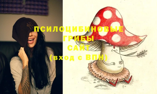 дмт Алексеевка